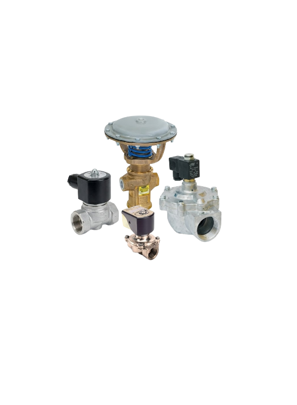 WhatsApp Image 2026-04-02 at 15.14.56